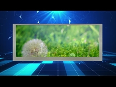 자동차 모니터용 10.3 인치 1280*480 해상도 와이드스크린 LCD 디스플레이