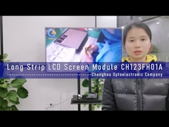 LCD 제조업체 1920x720 점 12.3 인치 긴 스트립 TFT 디스플레이 모듈