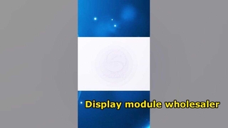 중국 LCD 제조업체